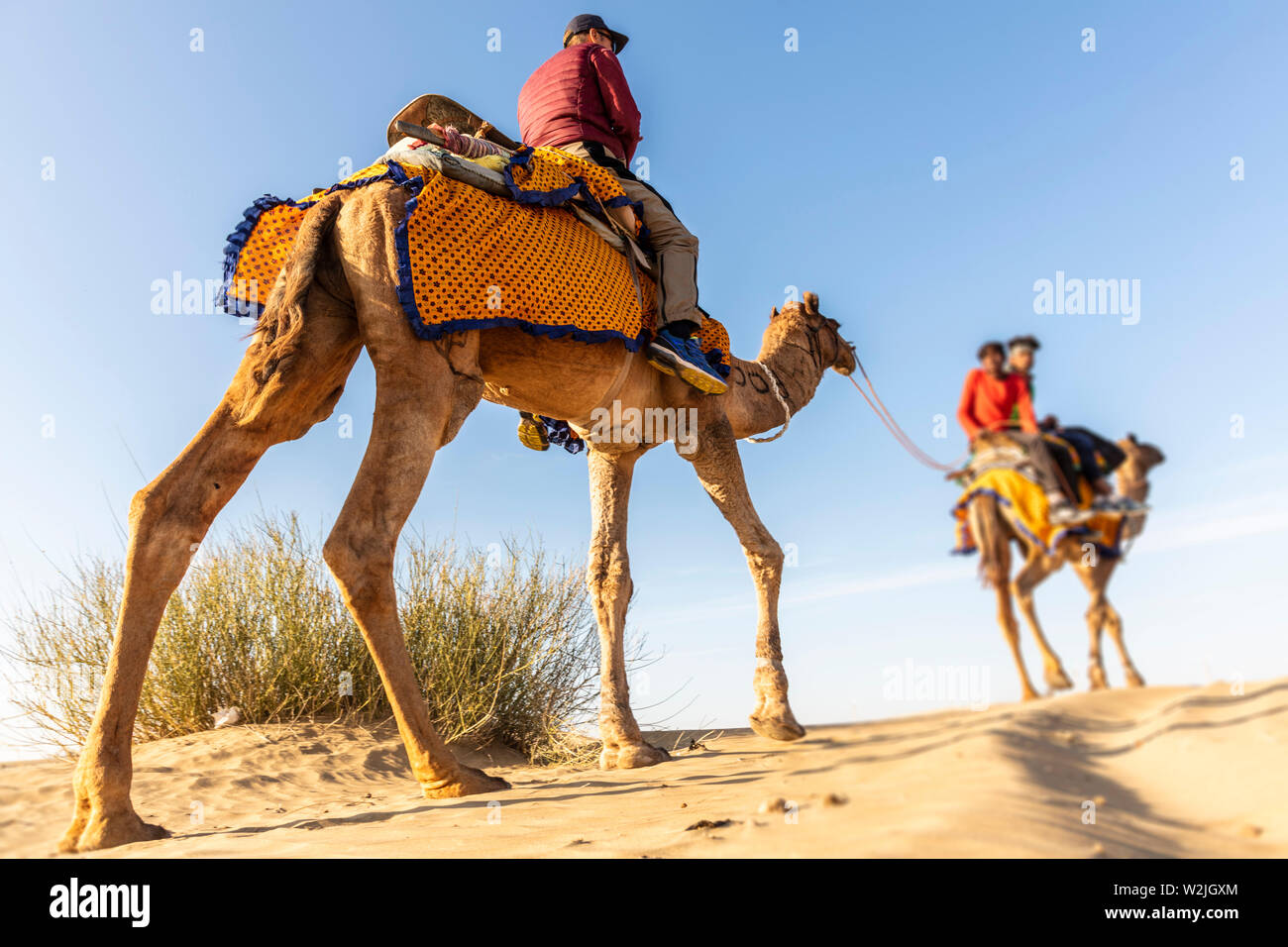 Dromedario con tourist nel deserto di Thar Foto Stock