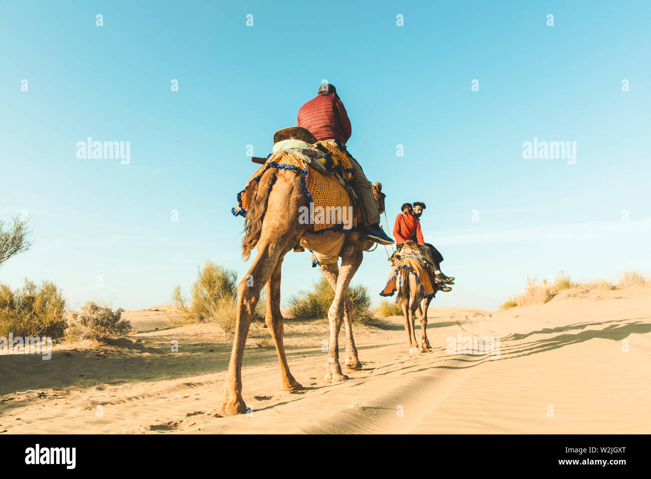 Dromedario con tourist nel deserto di Thar Foto Stock