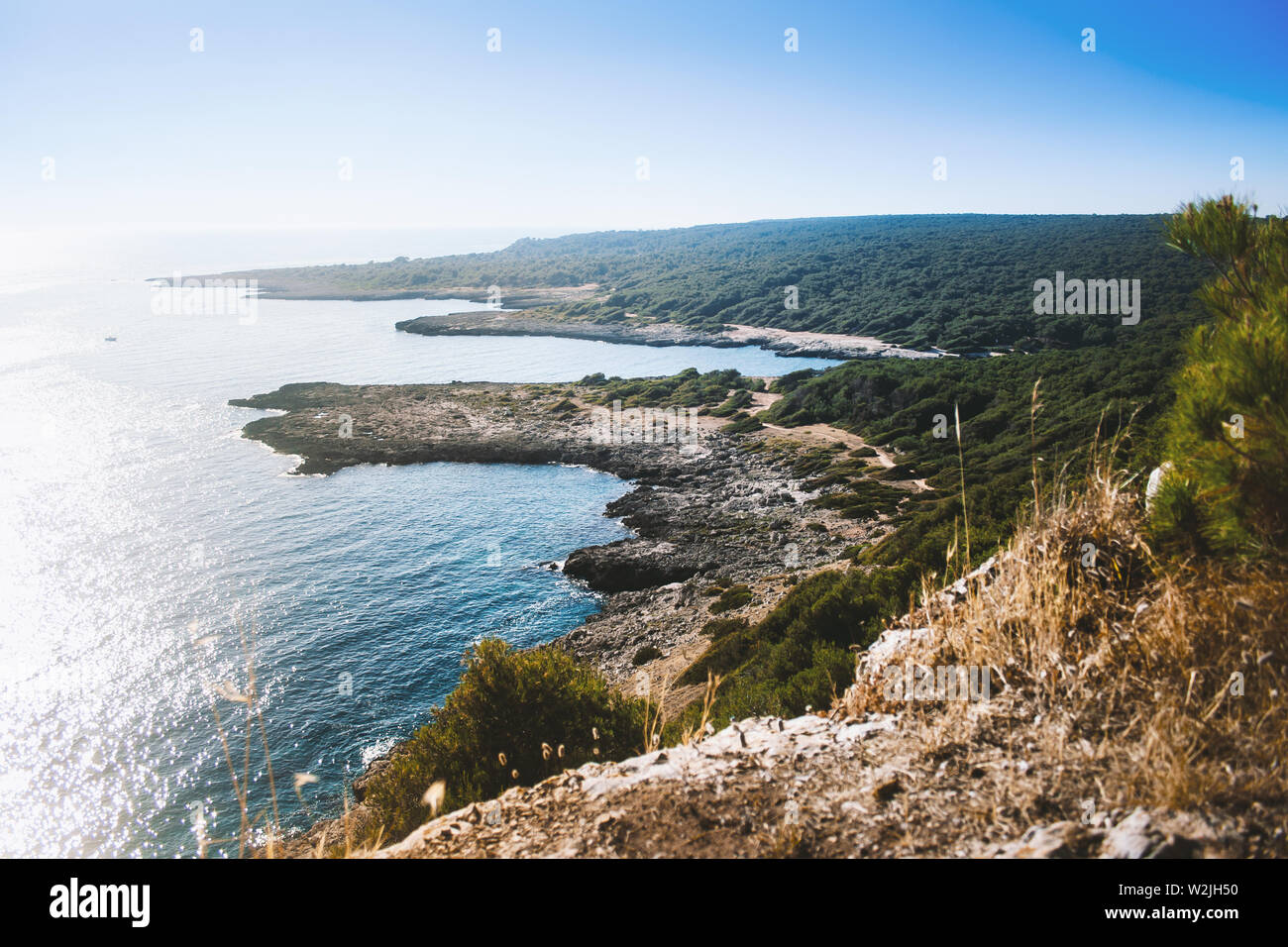 Vista delle belle scogliere. Mare del Salento e Puglia, Italia. Il Nardò, provincia di Lecce. Natura e riserve marine concetto. Foto Stock