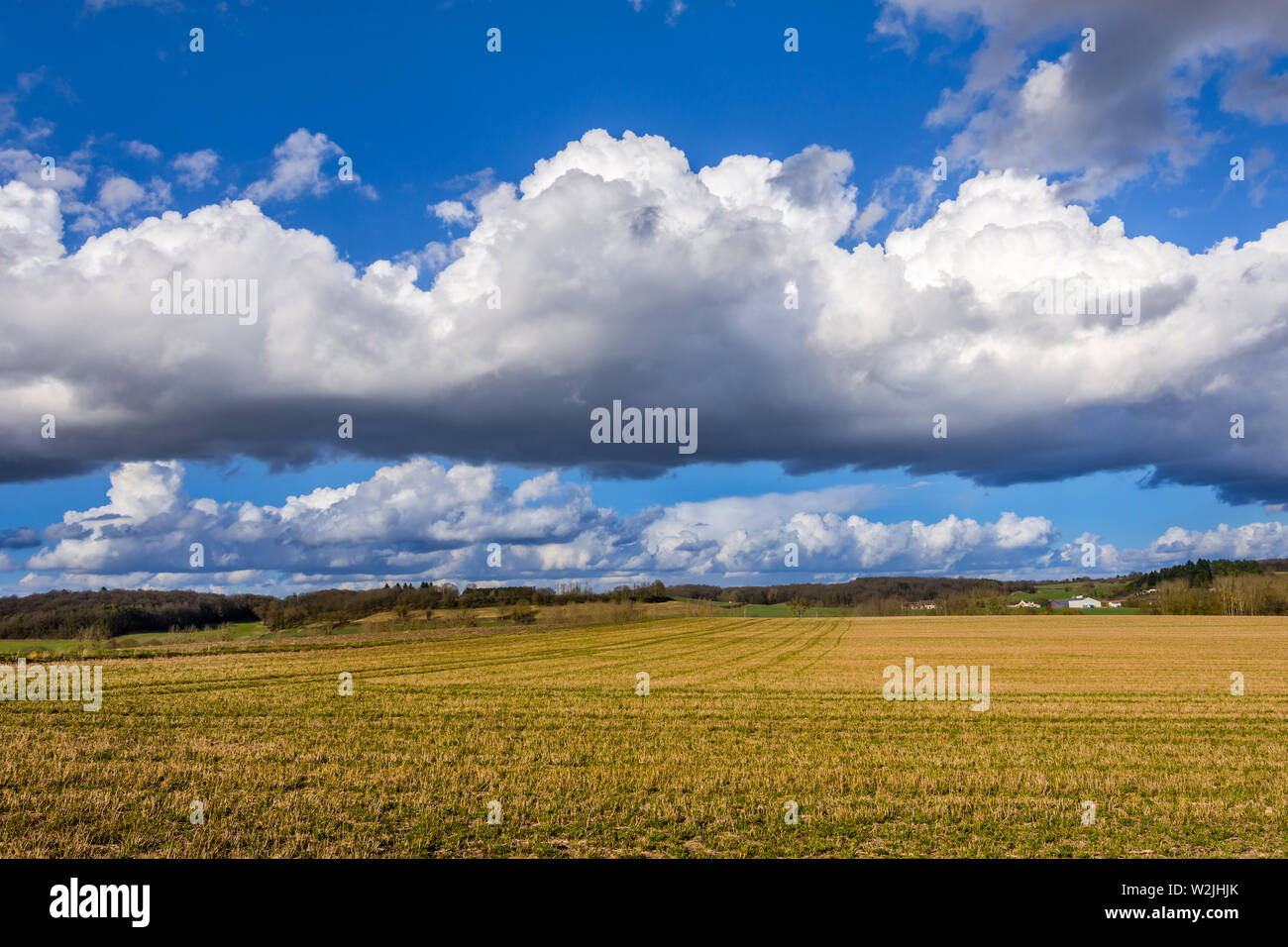 Cumulus nubi su terreni agricoli - Francia centrale. Foto Stock