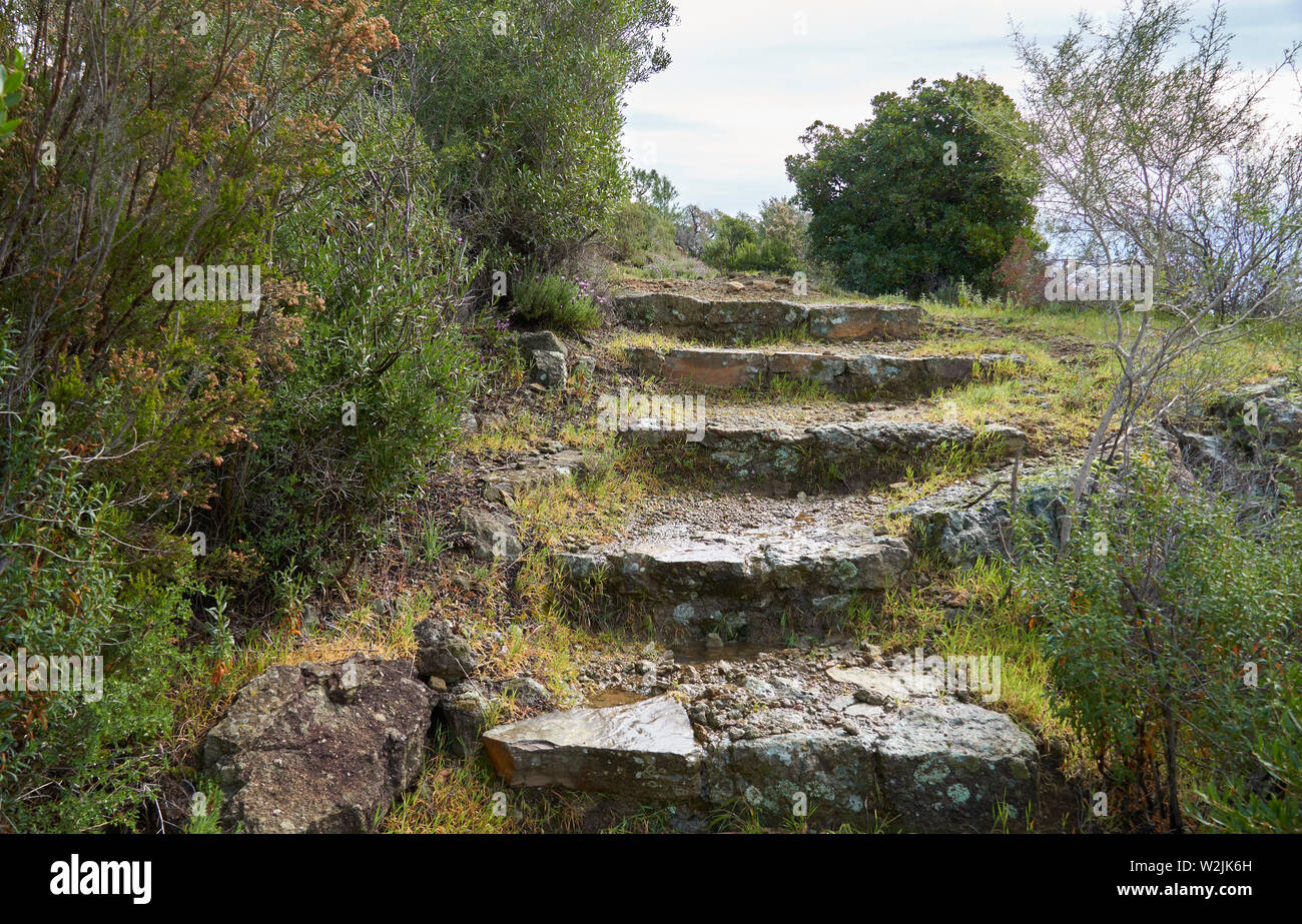 Gradini in pietra sulla collina dopo la pioggia. Domaine de Maure-Vieil, Mandelieu-La Napoule, Costa Azzurra, Francia Foto Stock