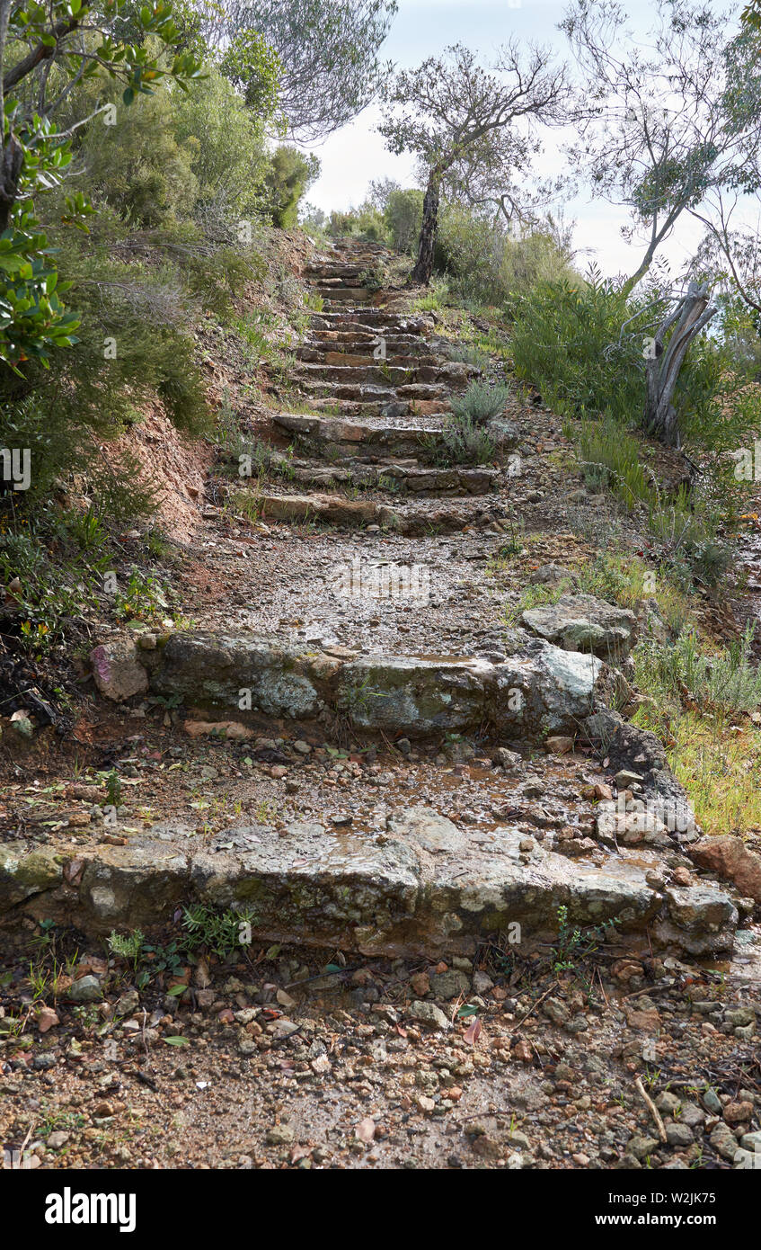Wet di gradini di pietra sulla collina dopo la pioggia. Domaine de Maure-Vieil, Mandelieu-La Napoule, Costa Azzurra, Francia Foto Stock