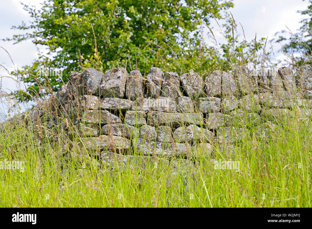 Una stalattite parete in Yorkshire Dales Foto Stock