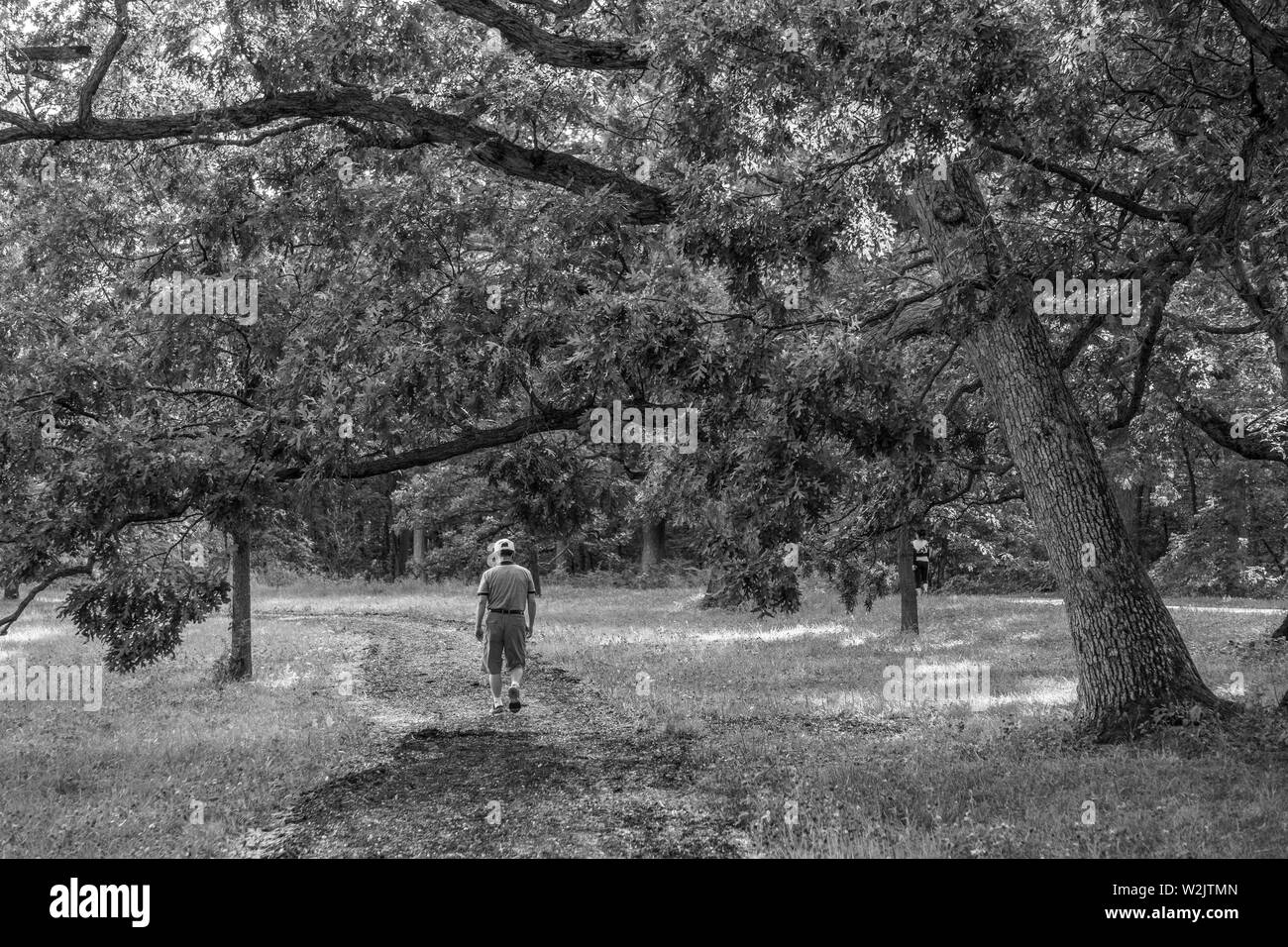 Un uomo solitario a piedi nei boschi in bianco e nero Foto Stock