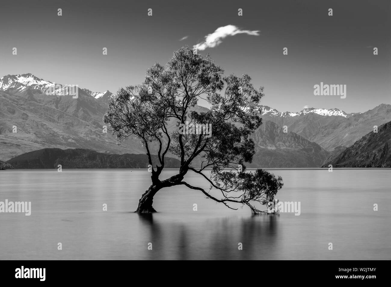 L'iconico "Lone Tree" nel lago, lago Wanaka, Regione di Otago, Isola del Sud, Nuova Zelanda Foto Stock