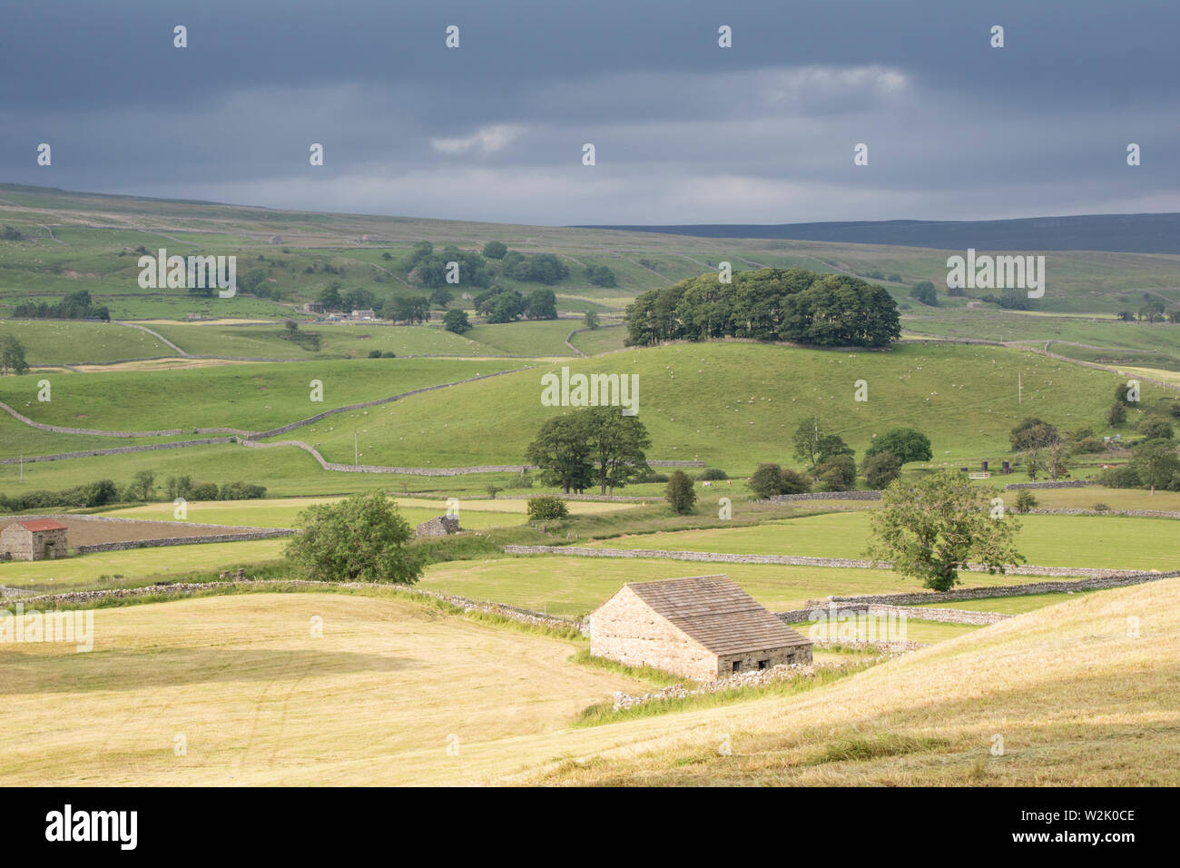 Pomeriggio la luce attraverso Wensleydale, Yorkshire Dales National Park, North Yorkshire, Inghilterra, Regno Unito Foto Stock