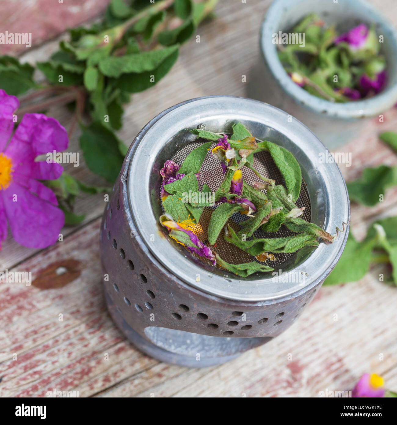 Räuchern mit getrockneten Zistrosen, Räucherritual, verräuchern, Duftkräuter, Duft, Räucher-Stövchen, Räucherstövchen, Räuchergefäß, fumatori, fumatori Foto Stock