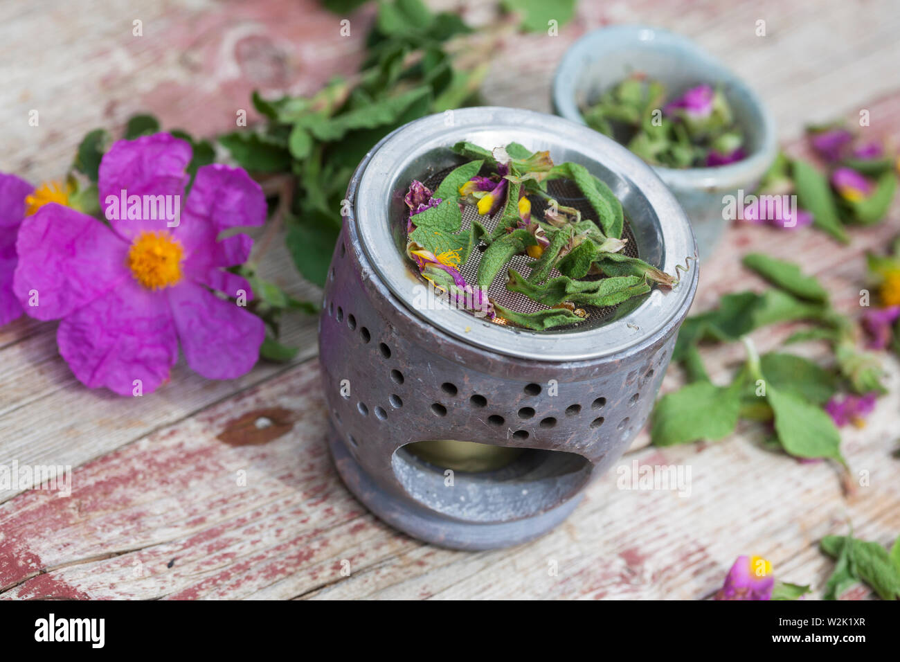 Räuchern mit getrockneten Zistrosen, Räucherritual, verräuchern, Duftkräuter, Duft, Räucher-Stövchen, Räucherstövchen, Räuchergefäß, fumatori, fumatori Foto Stock