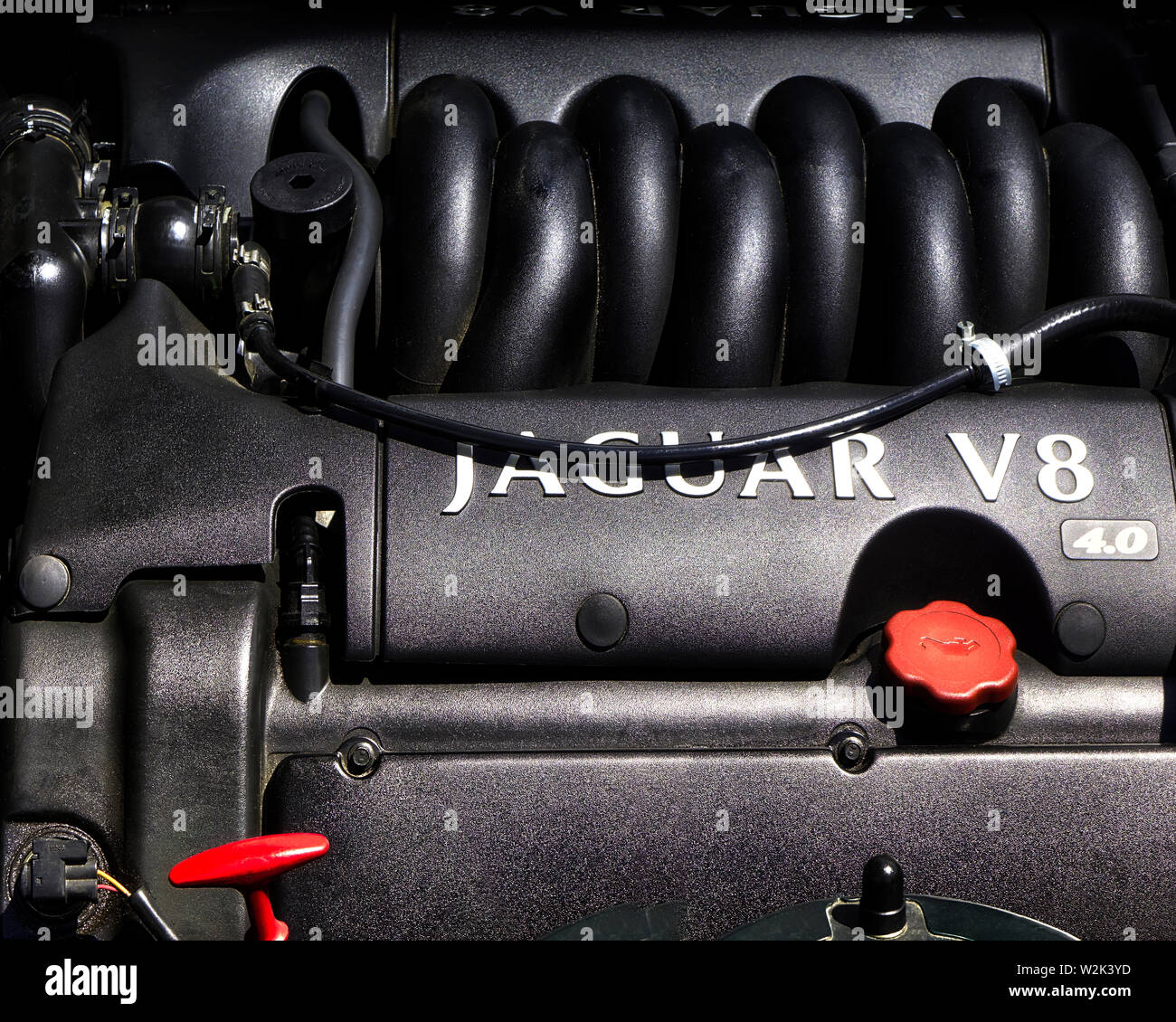 Il concetto di trasporto: il cuore di una Leggenda (Jaguar XK8, DOHC, 4.0 litri V8) Foto Stock