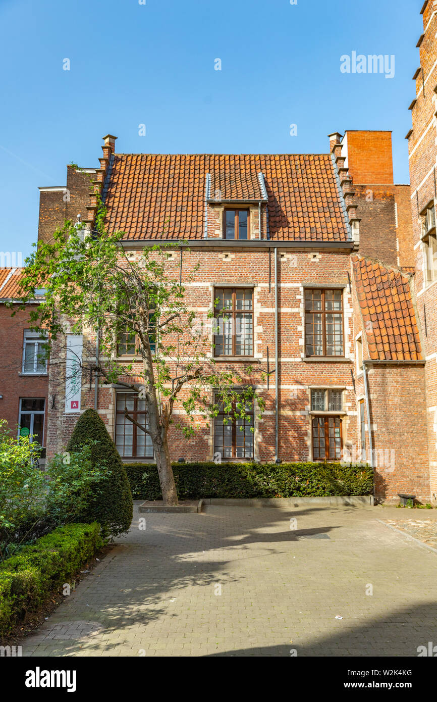 Verdi alberi e cespugli tagliati nel piccolo cortile interno della casa in mattoni rossi in Anversa, Belgio Foto Stock