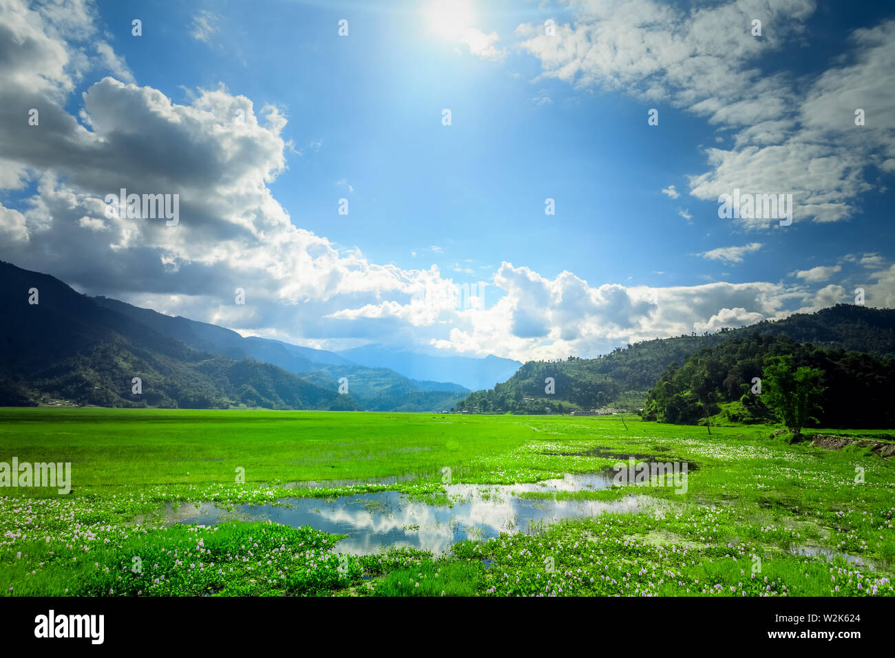 Campo di riso e cielo blu, Pokhara, Nepal Foto Stock