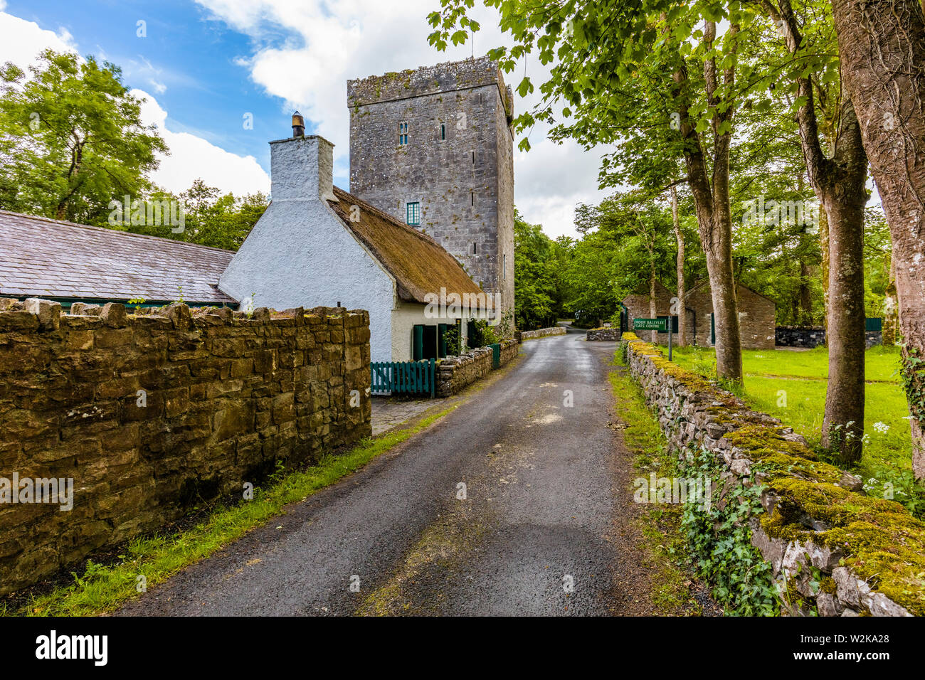 Thoor Ballylee Castello o Yeats torre costruita quindicesimo o sedicesimo secolo vissuto dal poeta William Butler Yeats in città se Gort County Galway Irlanda Foto Stock