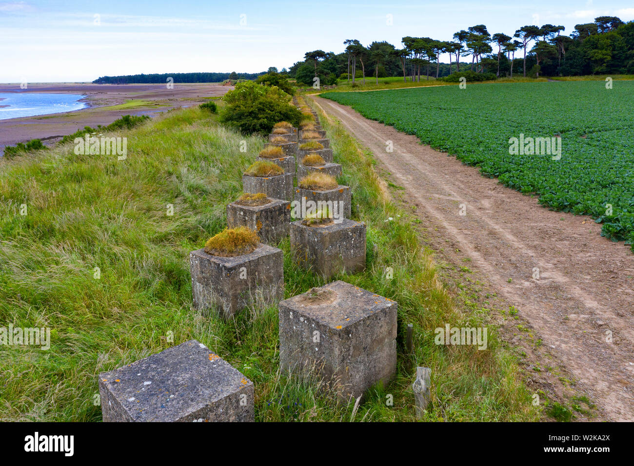 Vista della Seconda Guerra Mondiale era anti-serbatoio blocchi a Hedderwick in Dunbar in East Lothian, Scozia, Regno Unito Foto Stock