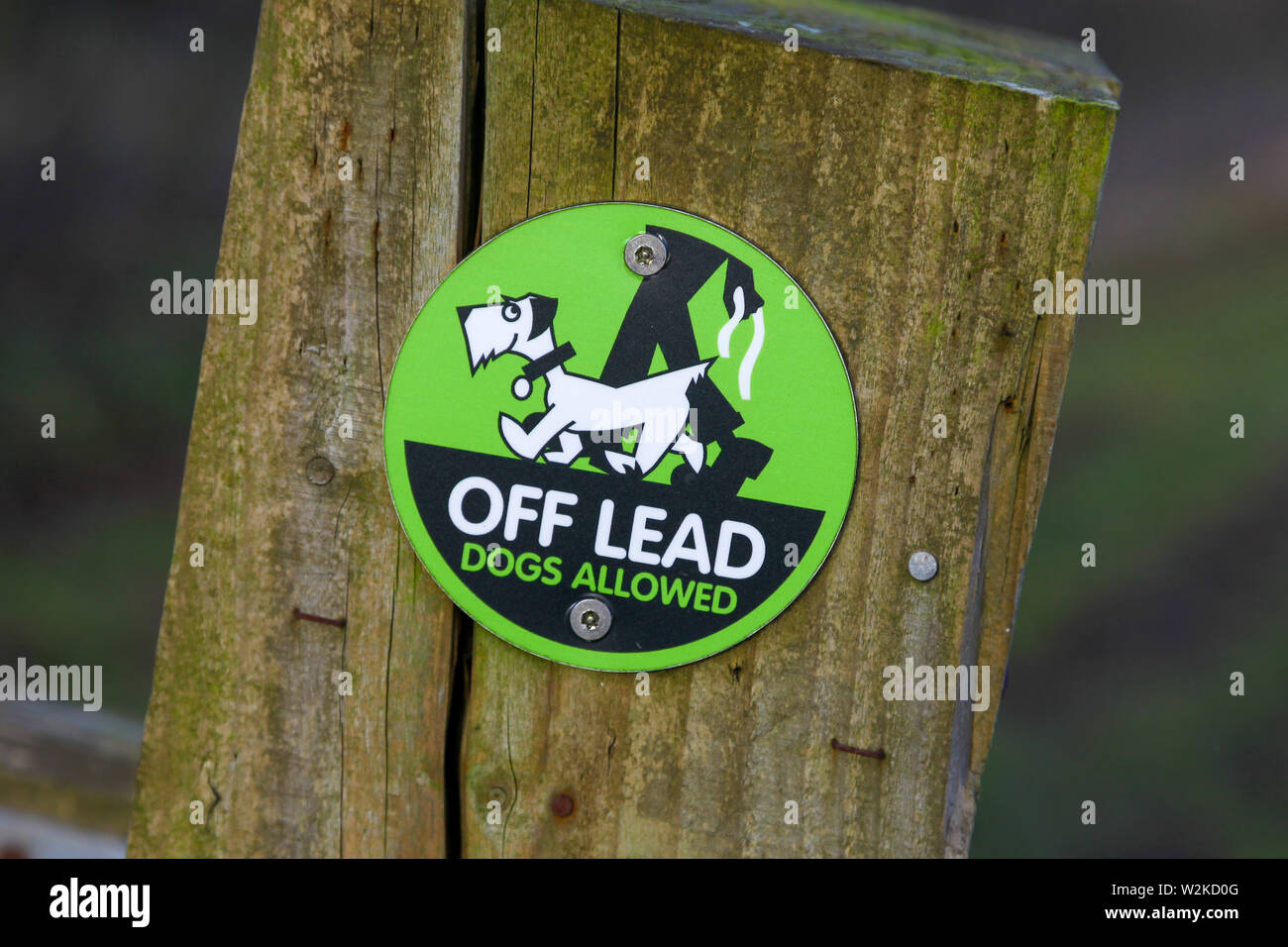 Un segno verde dicendo i cani sono ammessi su off la loro portano a Loynton Moss, Staffordshire, England, Regno Unito Foto Stock