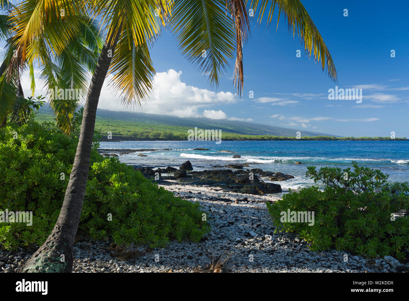 Litorale in Pu'uhonua O Honaunau NP in Sud Kona, Hawaii con Mauna Loa distante Foto Stock