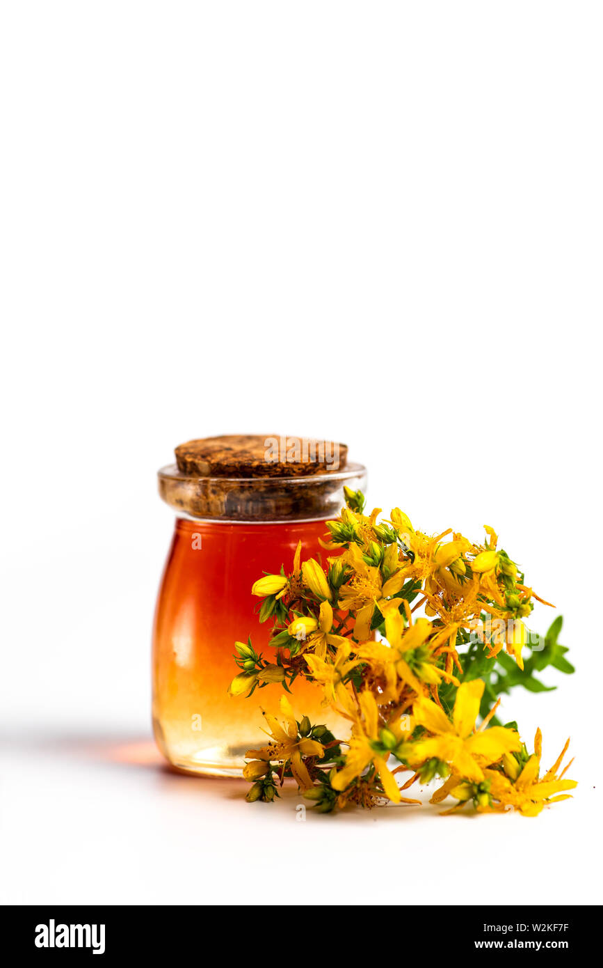 Calendula Calendula di olio essenziale erboso e fiori isolati su bianco Foto Stock