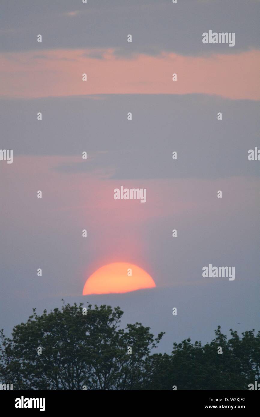 mezzo sole che tramonta sugli alberi, con nuvole chiare e cielo rosa Foto Stock