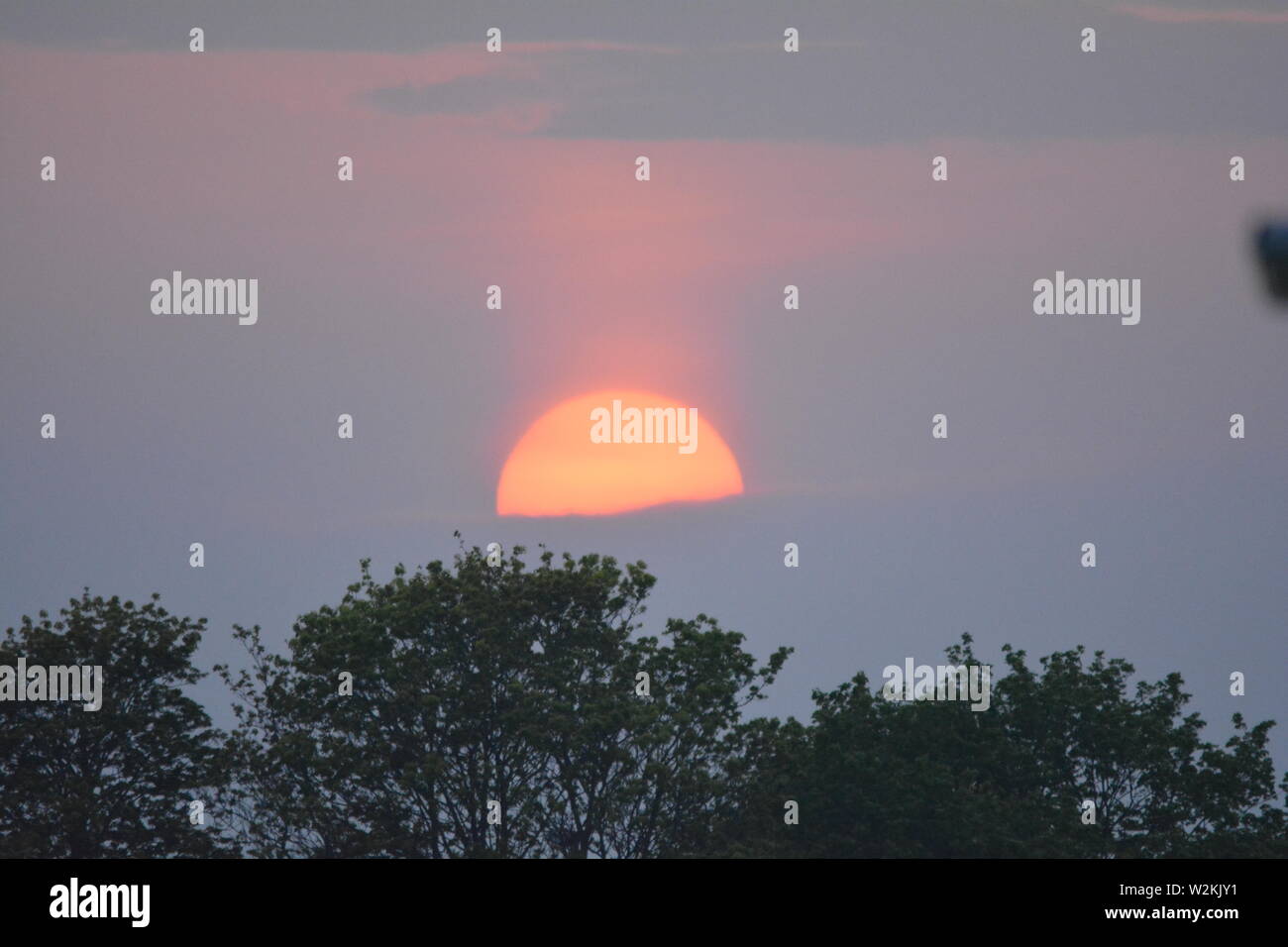 mezzo sole che tramonta sugli alberi in un cielo pastello pallido Foto Stock