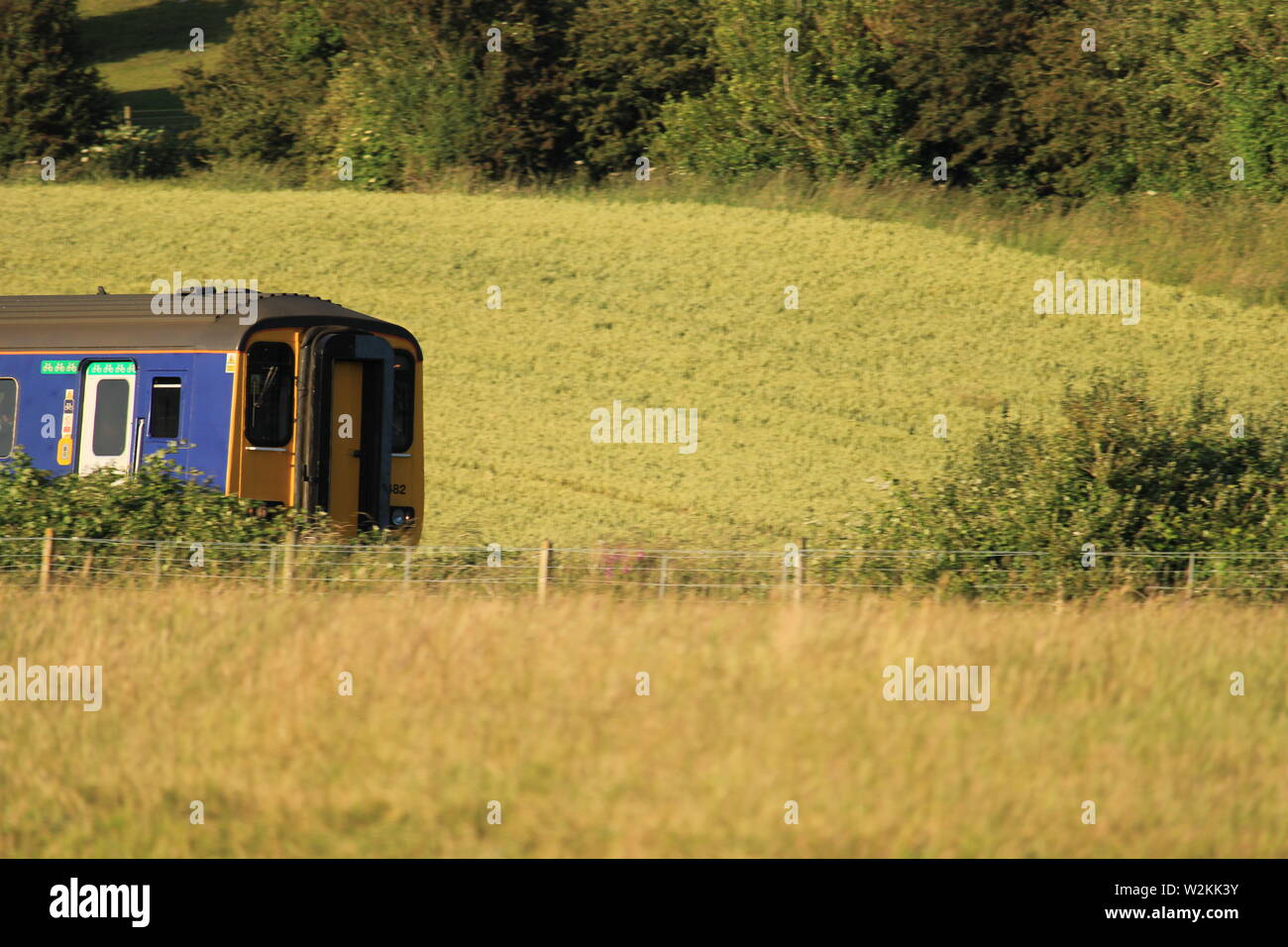 Treno che viaggia attraverso il Regno Unito paesaggio rurale. Foto Stock