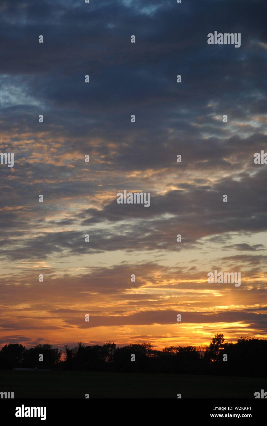 bellissimo tramonto con cielo arancione all'orizzonte e nuvole viola e silhouette di alberi distanti. Foto Stock