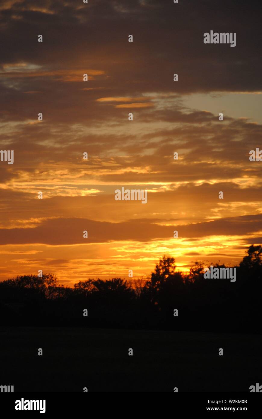 tramonto sequenza oro bagliore con un sacco di nuvole con silhouette di alberi Foto Stock