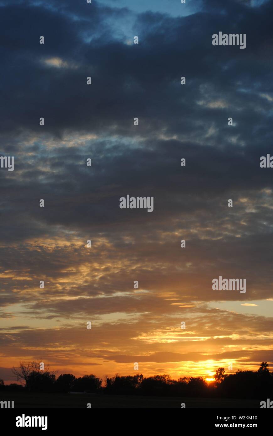 tramonto sequenza oro bagliore con un sacco di nuvole con silhouette di alberi Foto Stock