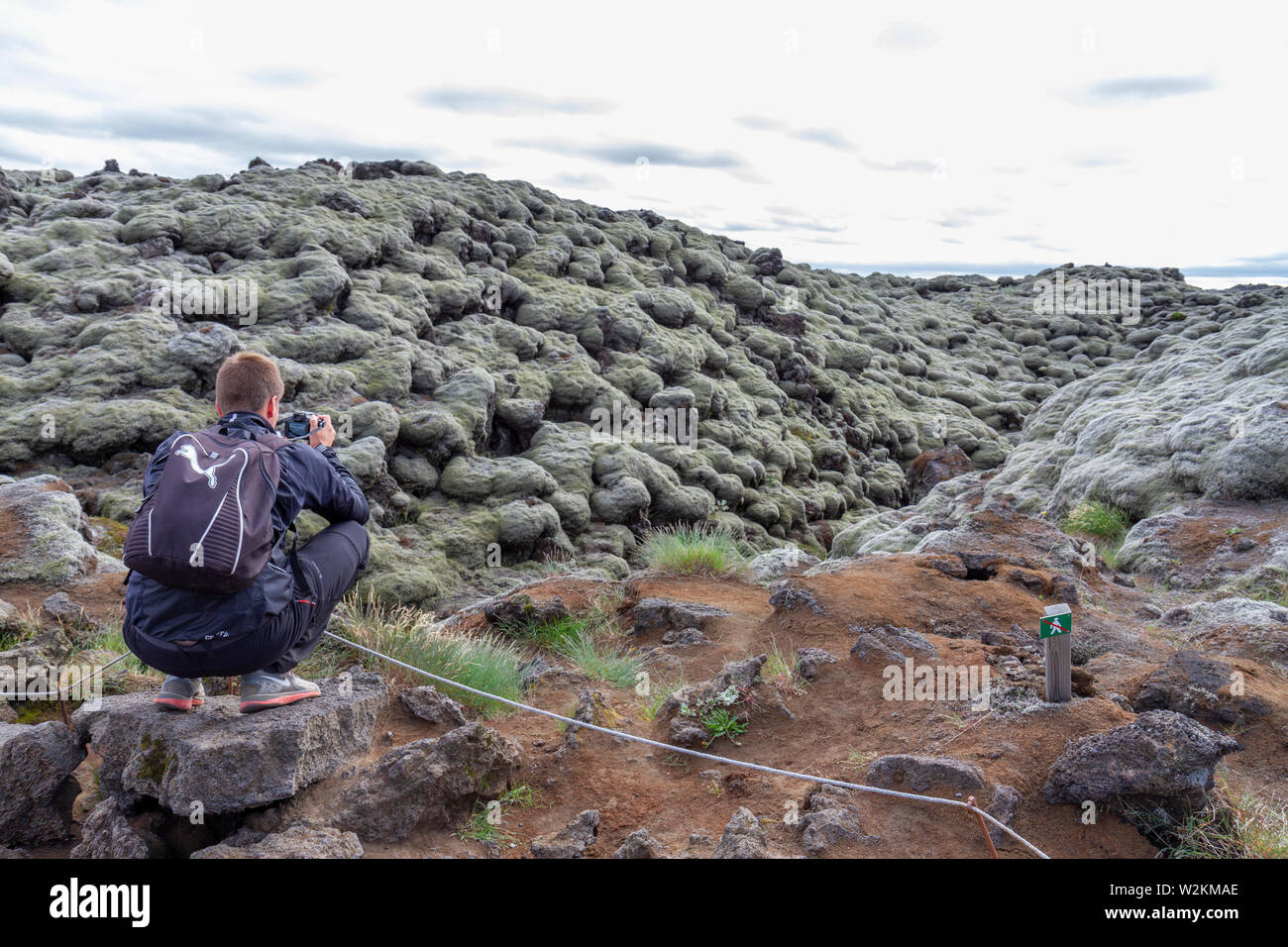 Fotografo foto takling della Laki flussi lavici coperti in lanosi fringe moss (racomitrium lanuginosum), Skaftáreldahraun, Islanda. Foto Stock