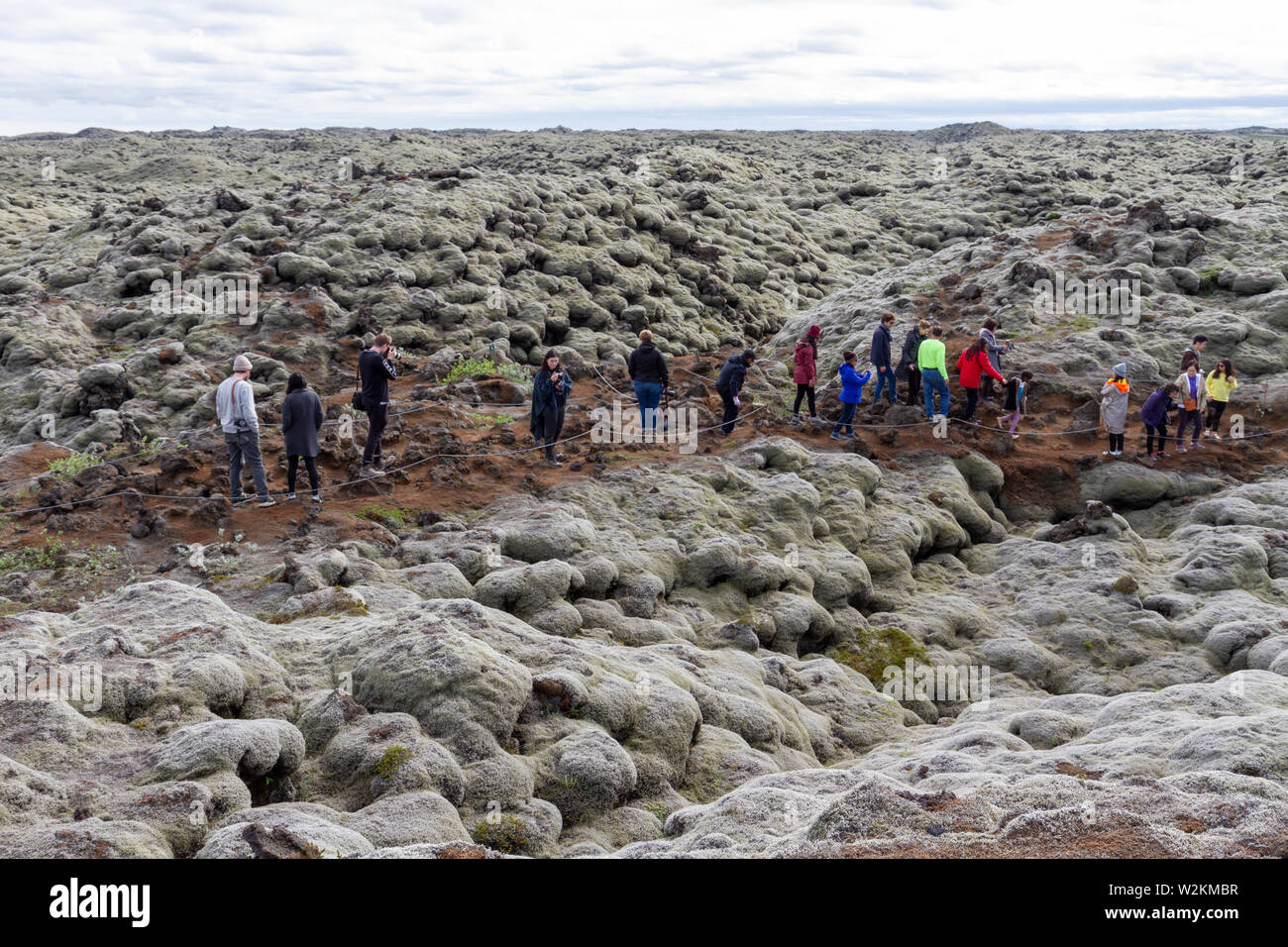I visitatori a piedi attraverso la lava dal Laki flussi lavici coperti in lanosi fringe moss (racomitrium lanuginosum), Skaftáreldahraun, Islanda. Foto Stock
