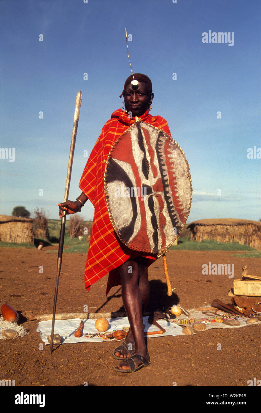 Guerriero Masai in full regalia, di lancia e di scudo di Buffalo, utilizzato in Lion caccia su vecchi giorni africani, vicino Sekenani Gate, Masai Mara, Kenya Foto Stock