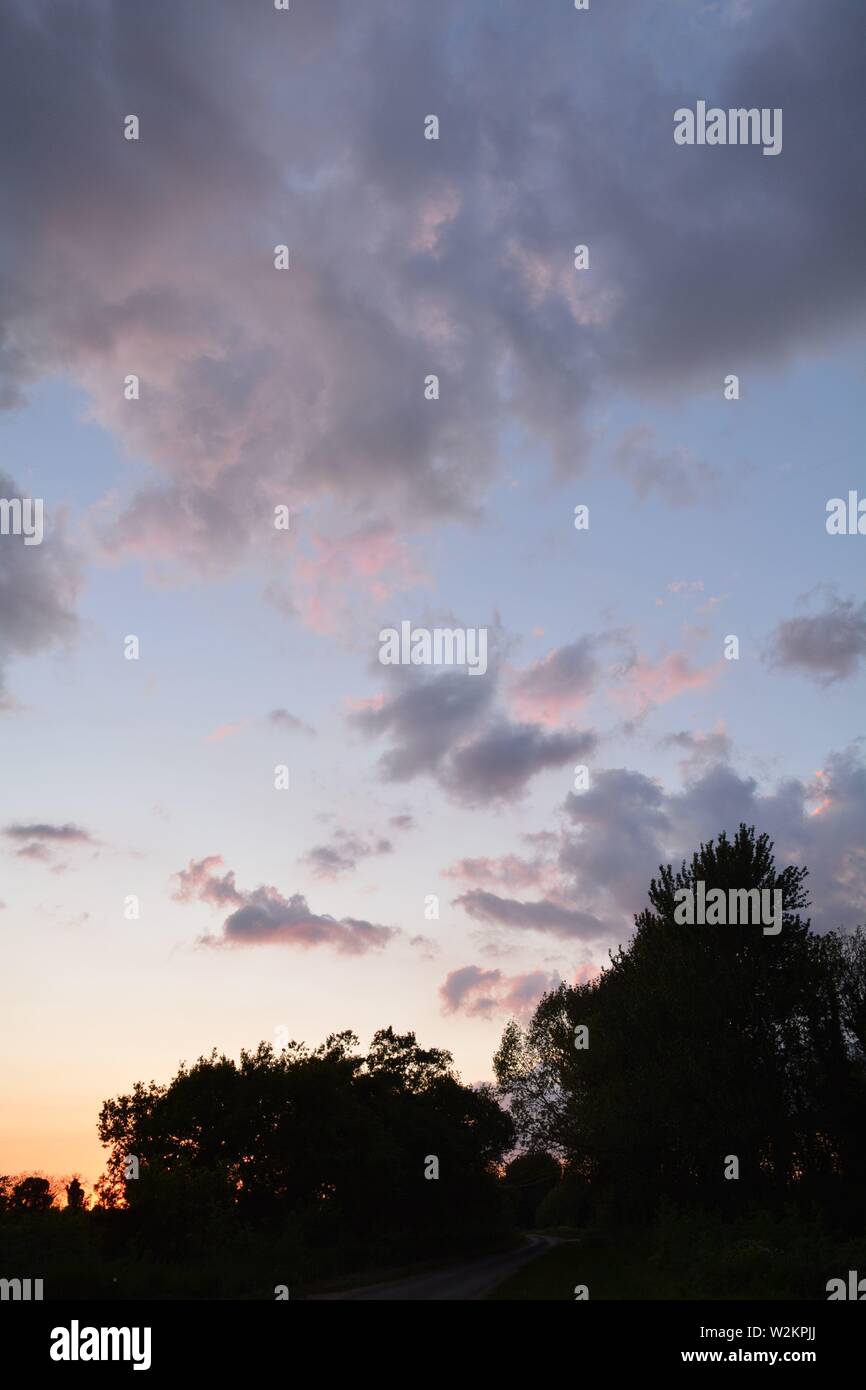 paesaggio, cielo, cielo nuvoloso con alberi in lontananza. Foto Stock