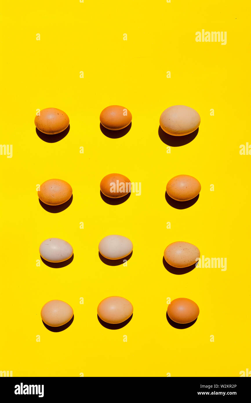 Un modello di uova. Un diverse dimensioni uova su uno sfondo giallo. Uova sullo sfondo di close-up. Uova texture di sfondo. Il concetto di diversità. Vista dall'alto. Concetto Foto Stock