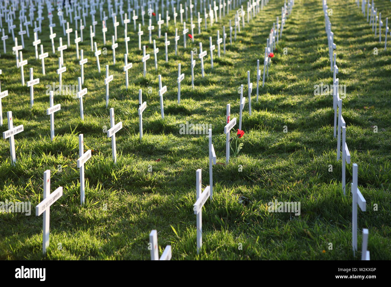 Servizio commemorativo per i soldati caduti. Croci bianche nel parco. Foto Stock