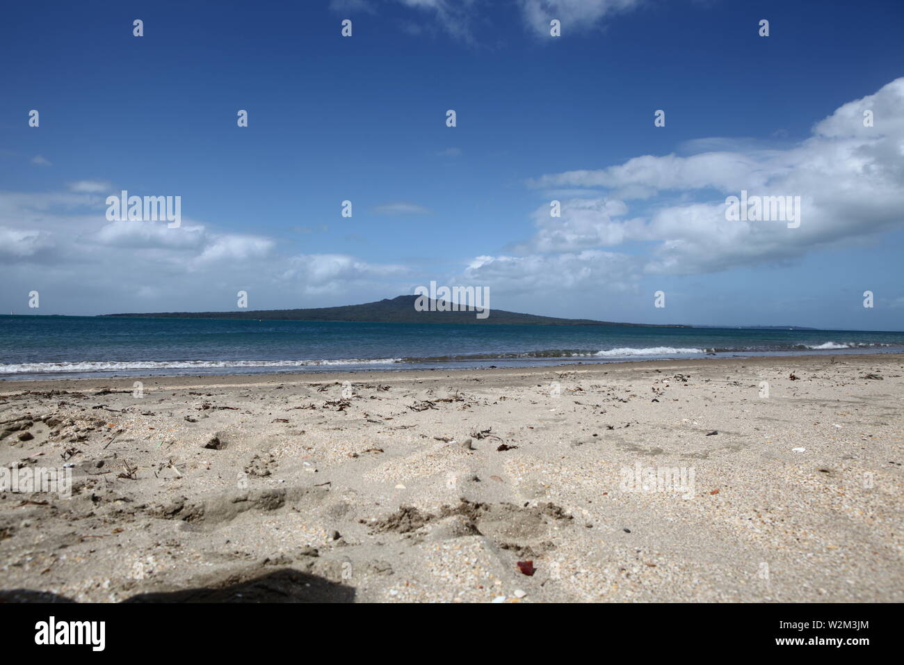 Iconico Rangitoto vulcano sull Isola di Rangitoto. Foto scattata da tje North Shore di Auckland, in Nuova Zelanda. In primo piano è di North Shore. Foto Stock