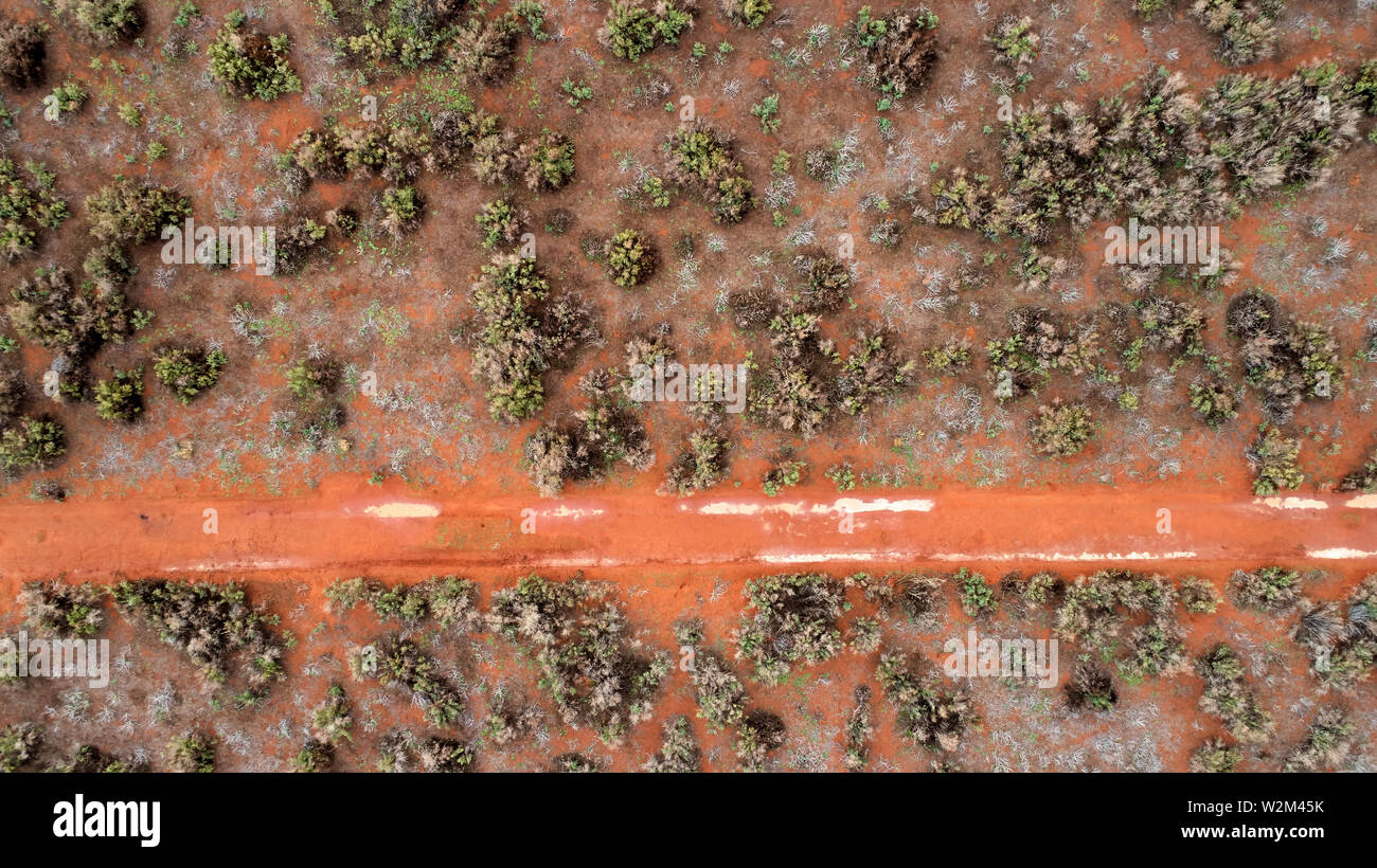 Guardando verso il basso sulla semi-aride steppe nord-western​ Victoria. Una boccola di sabbia via ha pozzanghere d'acqua dopo un raro doccia di pioggia. Foto Stock