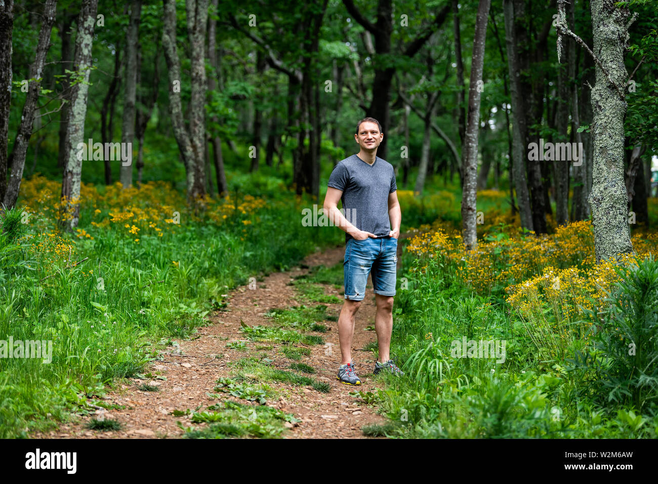 Uomo in piedi nella storia della foresta sentiero natura a Shenandoah Blue Ridge appalachian montagne da fiori di colore giallo sul percorso Foto Stock
