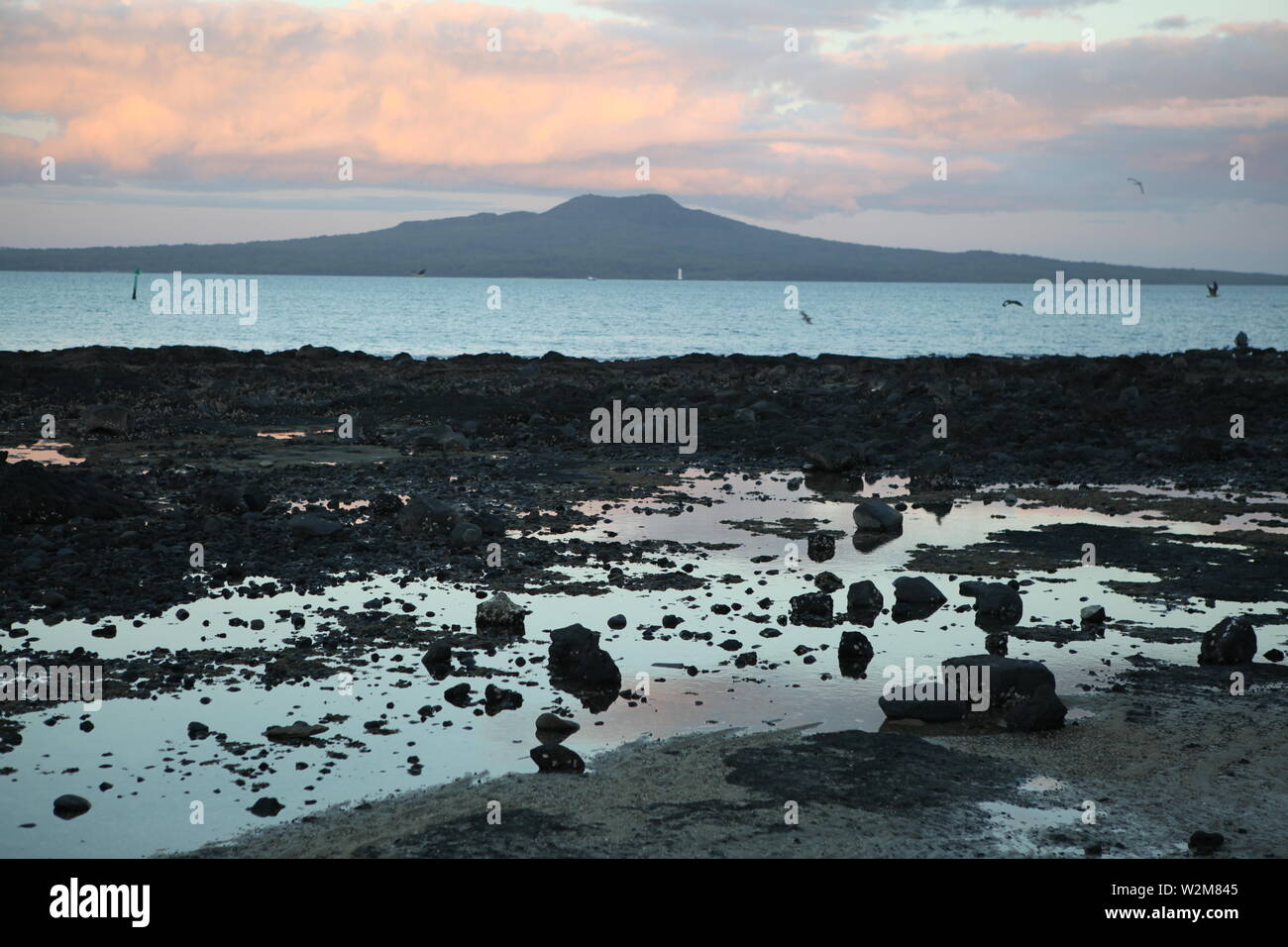Iconico Rangitoto vulcano sull Isola di Rangitoto. Foto scattata da tje North Shore di Auckland, in Nuova Zelanda. In primo piano è di North Shore. Foto Stock