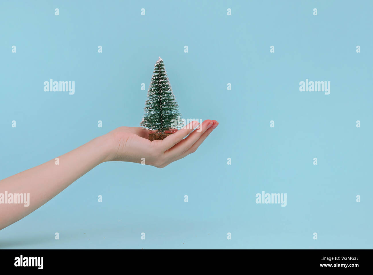 Piccolo albero di Natale in le mani delle donne su sfondo blu. Anno nuovo concetto. Foto Stock