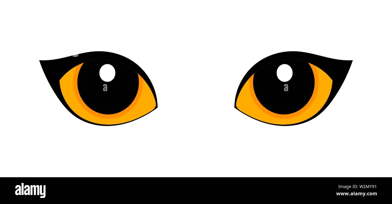 Orange occhi di gatto isolati su sfondo bianco. Illustrazione Vettoriale Illustrazione Vettoriale