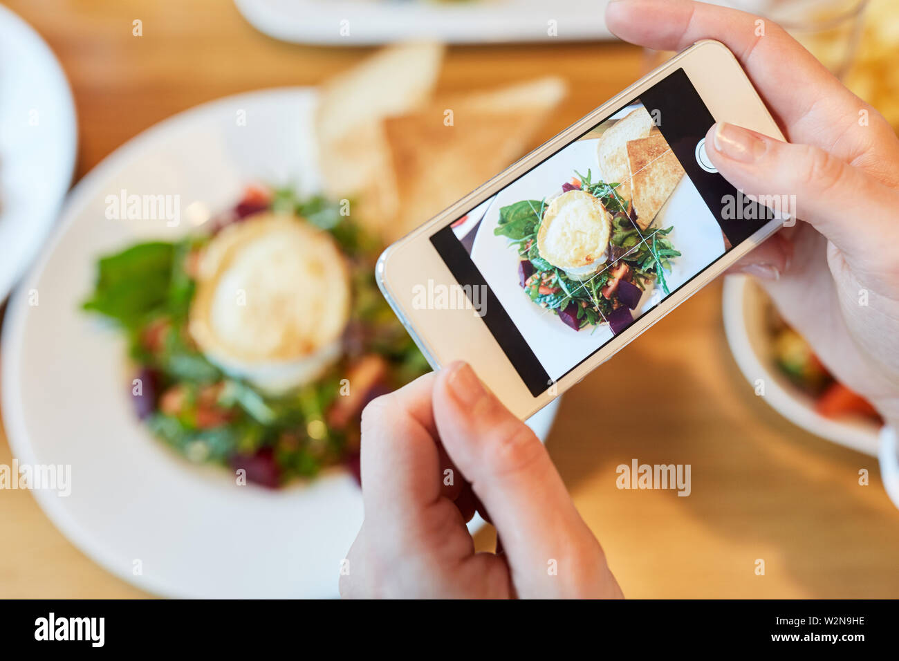 Le mani con lo smartphone fotografia Insalata di barbabietole con Camembert per Foodblog Foto Stock