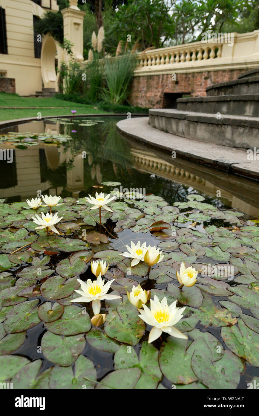 Il giardino dei sogni Kathmandu in Nepal Asia Foto Stock