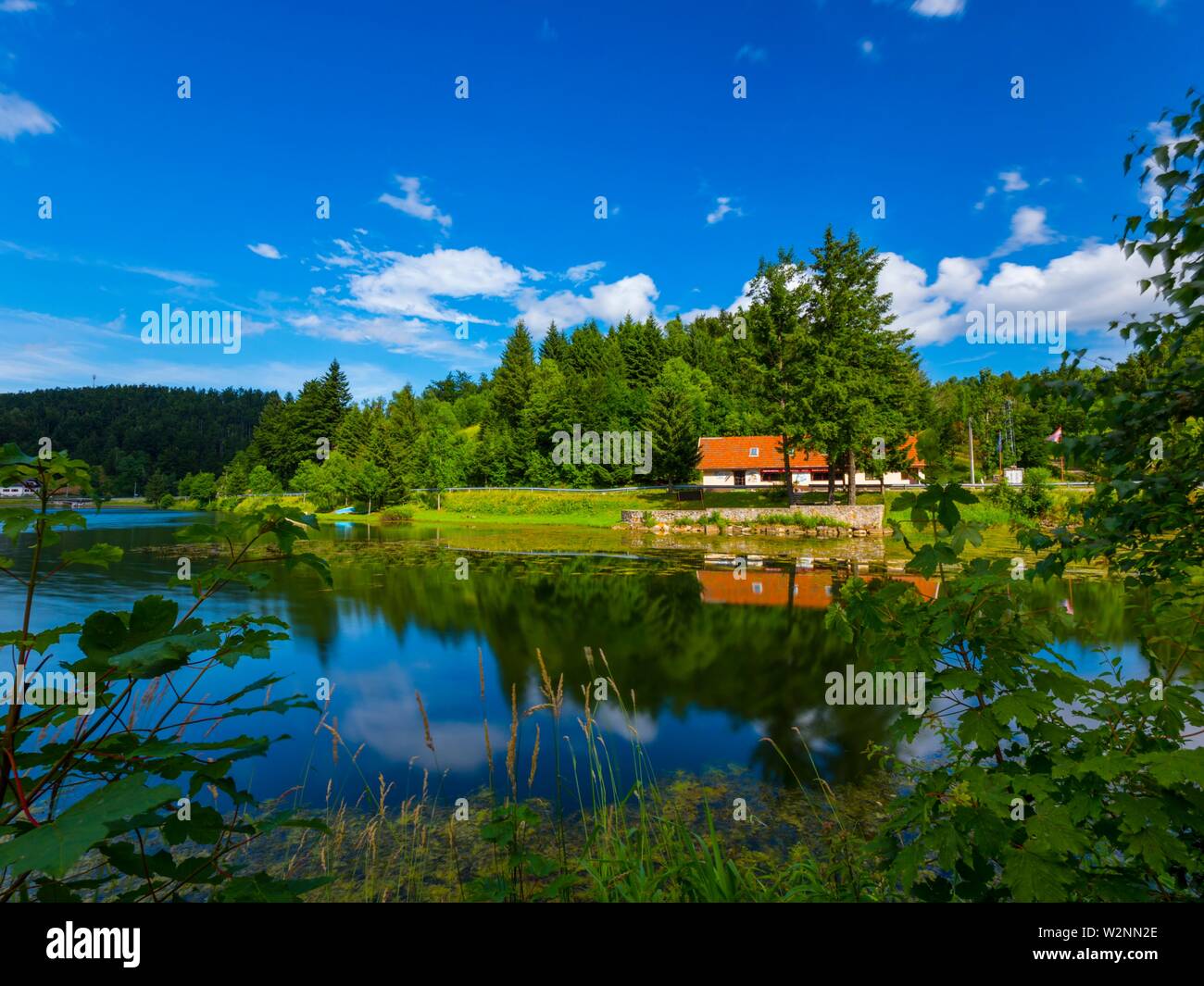 Verde foresta boschiva Mrzla vodica lago in Croazia aka arte fotogenica Foto Stock