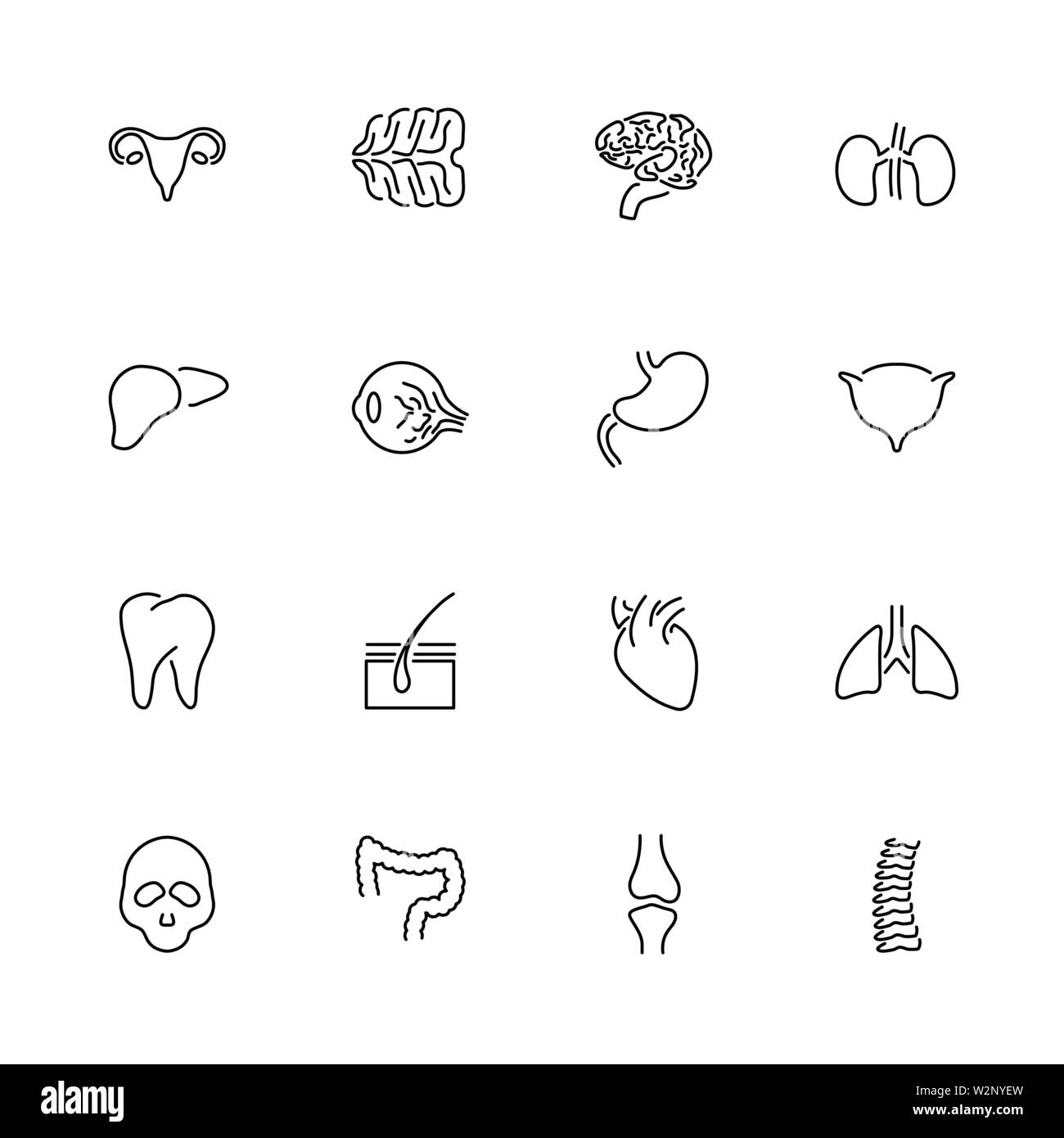 Gli organi umani, trapianto outline set di icone - simbolo nero su sfondo bianco. Gli organi umani illustrazione semplice simbolo - rivestiti di semplicità di segno. F Illustrazione Vettoriale