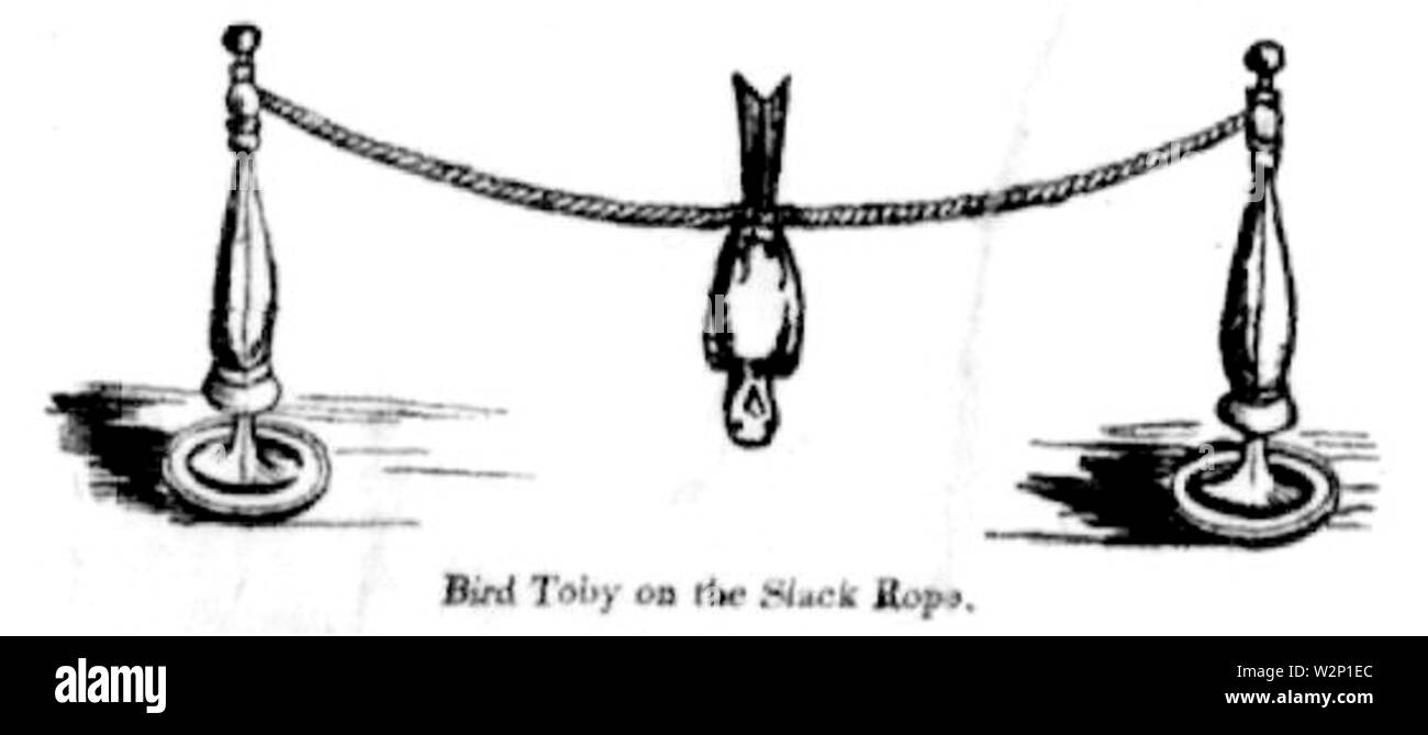 1853 Blitz LearnedCanaries5 AmoryHall Boston Foto Stock