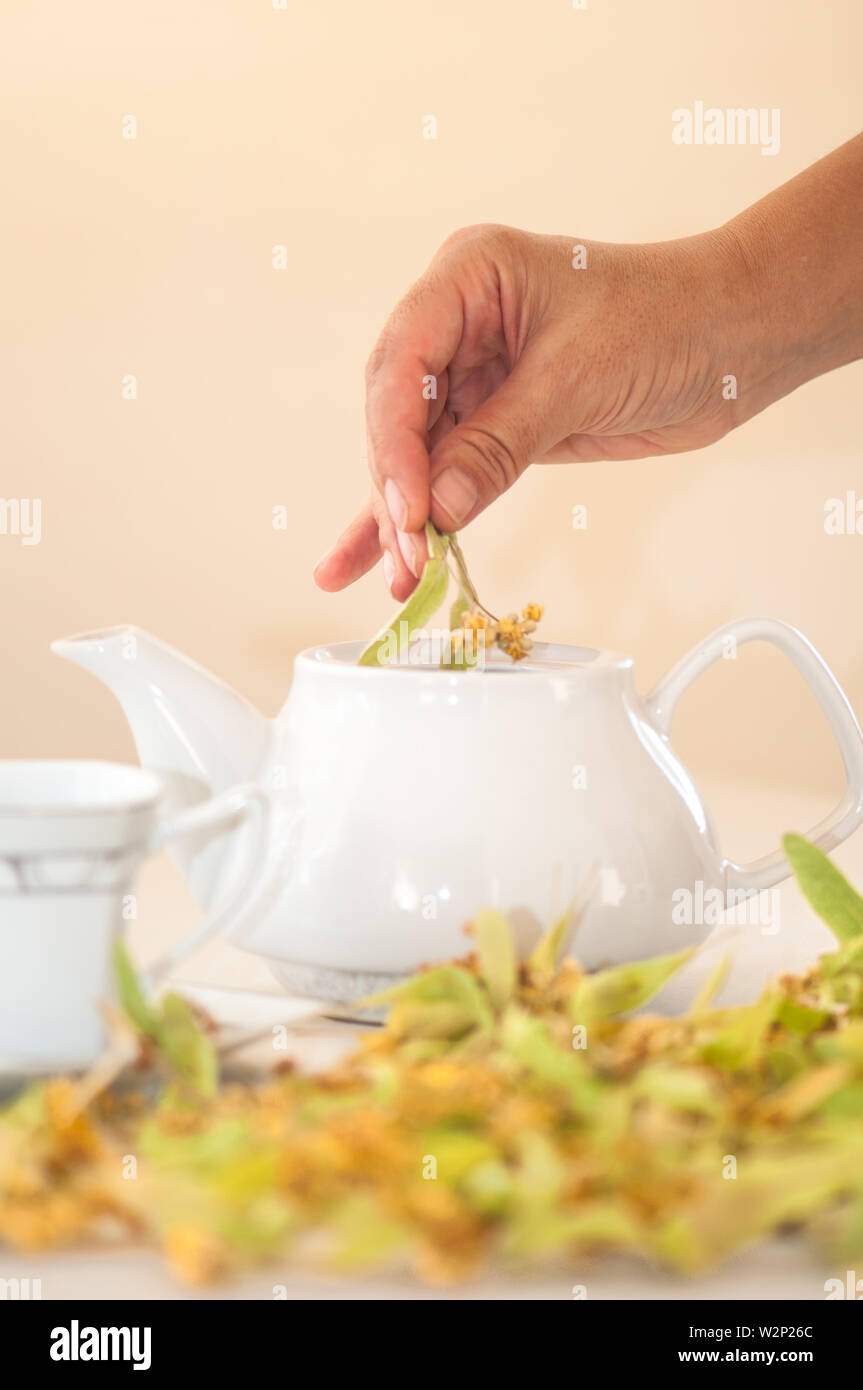 Preparare il tè con essiccato linden blossom in ambiente naturale Foto Stock