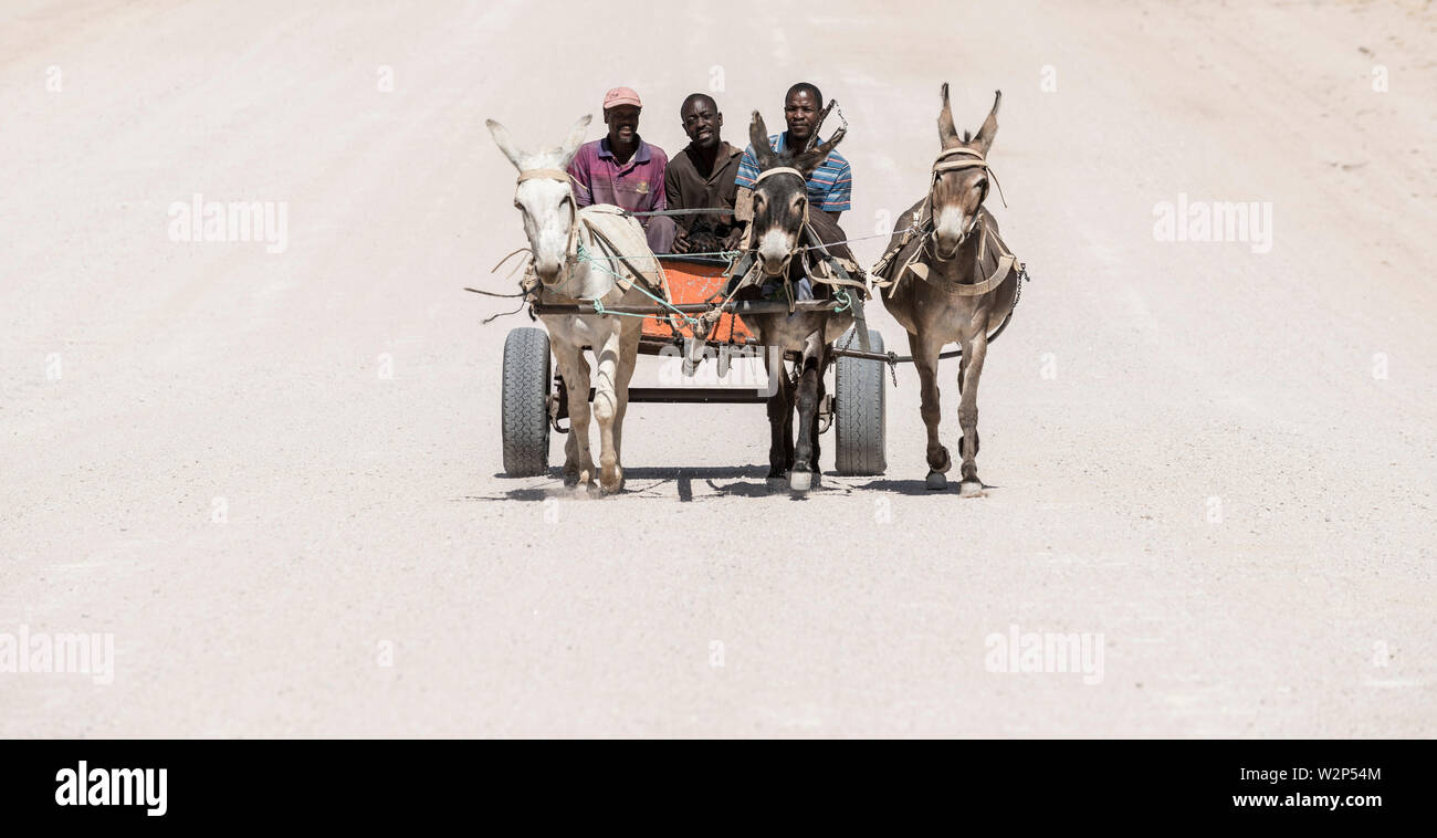 Molto secco deadpan strada di sabbia con tre adulti uomini African-Namibian sulla loro Carretto tirato da un asino. Spitzkoppe, Namibia Foto Stock