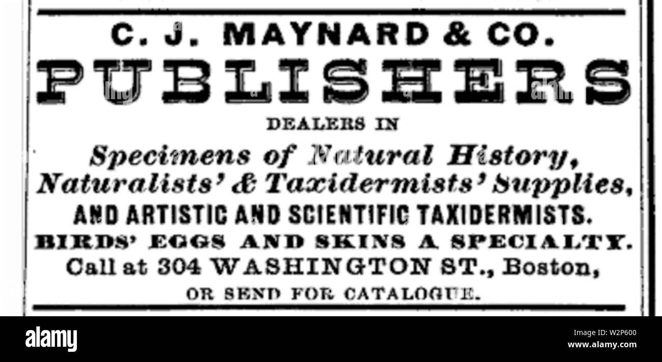 1883 NaturalHistory tassidermista BostonAlmanac Foto Stock