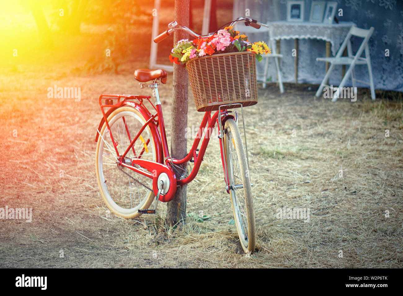 Retrò rosso in bicicletta in un giardino con un cesto di fiori ai raggi del sole. Foto Stock