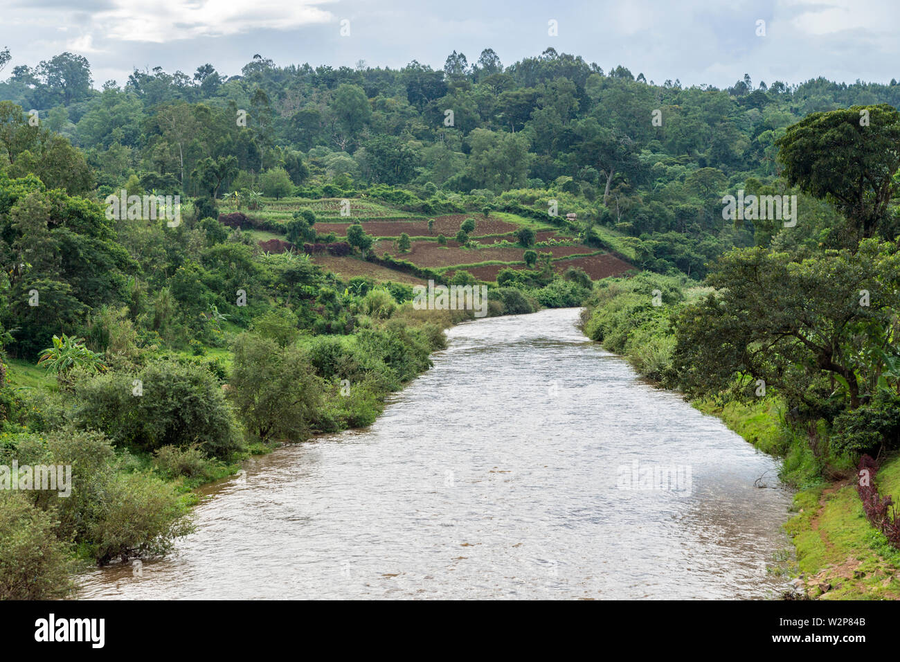 Sor River vicino Metu, Illubabor, Etiopia, con la foresta del bacino idrografico; affluente del Nilo Bianco Foto Stock