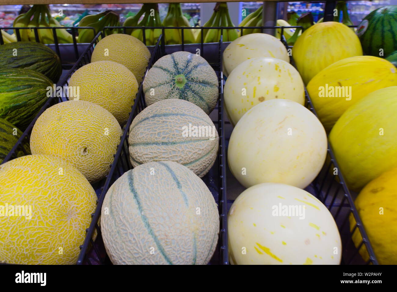 Muskmelon in diverse dimensioni e colori venduti nel negozio Foto Stock