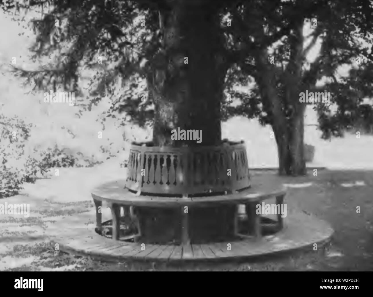 6díl html 54cbad21 Foto Stock